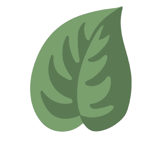 M.M.